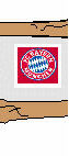 Deutscher Meister 1932, 1969, 1972, 1973, 1974, 1980, 1981, 1985, 1986, 1987, 1989, 1990, 1994, 1997, 1999, 2000, 2001 und 2003 sowie Gewinner des DFB-Pokals: 1957, 1966, 1967, 1969, 1971, 1982, 1984, 1986, 1998, 2000 und 2003 sowie Ligapokalsieger: 1997, 1998 und 2000 sowie Gewinner des Supercups: 1987 und 1990 sowie Weltpokalsieger: 1976 und 2001 sowie Sieger der Champions League: 2001 sowie Gewinner des Europapokal der Landesmeister: 1974, 1975 und 1976 sowie Cup der Pokalsieger: 1967 sowie UEFA-Cup-Sieger: 1996